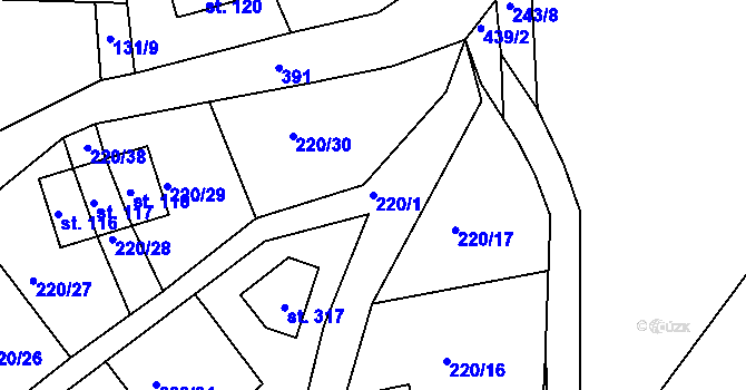 Parcela st. 220/1 v KÚ Nové Město u Mikulova, Katastrální mapa