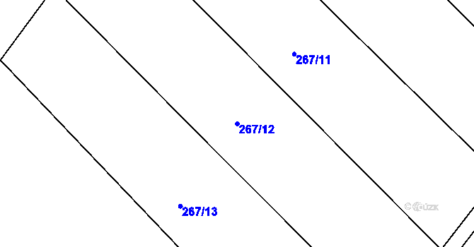 Parcela st. 267/12 v KÚ Morašice u Chrudimi, Katastrální mapa