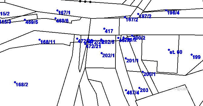 Parcela st. 202/1 v KÚ Řikovice u Litomyšle, Katastrální mapa