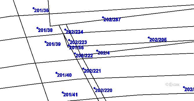Parcela st. 202/4 v KÚ Moravany u Kyjova, Katastrální mapa