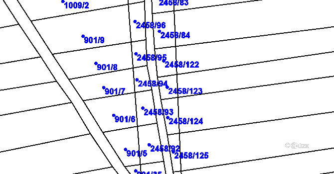 Parcela st. 2458/123 v KÚ Moravany u Kyjova, Katastrální mapa