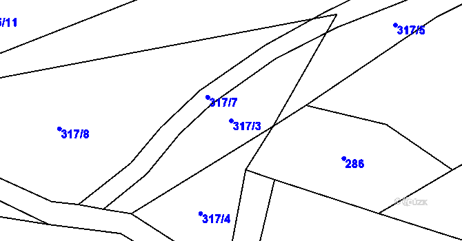 Parcela st. 317/3 v KÚ Radkov u Moravce, Katastrální mapa