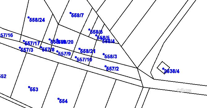 Parcela st. 558/3 v KÚ Moutnice, Katastrální mapa