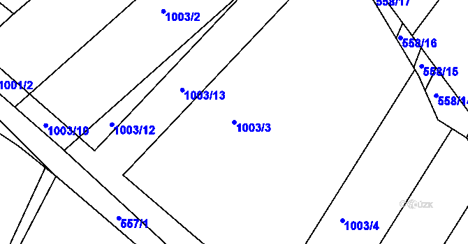 Parcela st. 1003/3 v KÚ Moutnice, Katastrální mapa