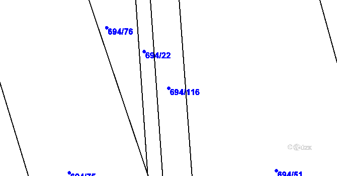Parcela st. 694/116 v KÚ Mrákotín u Skutče, Katastrální mapa
