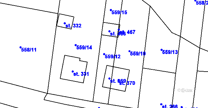 Parcela st. 559/12 v KÚ Mrákotín u Telče, Katastrální mapa