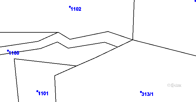 Parcela st. 313/3 v KÚ Praskolesy u Mrákotína, Katastrální mapa