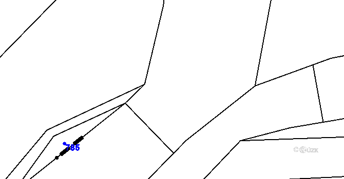 Parcela st. 334/2 v KÚ Praskolesy u Mrákotína, Katastrální mapa