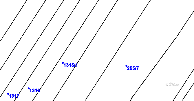 Parcela st. 1310/117 v KÚ Mrtník, Katastrální mapa