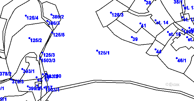 Parcela st. 125/1 v KÚ Olešno, Katastrální mapa