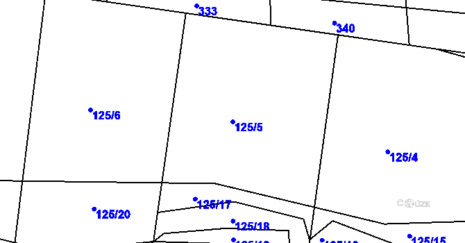 Parcela st. 125/5 v KÚ Mutěnice u Strakonic, Katastrální mapa