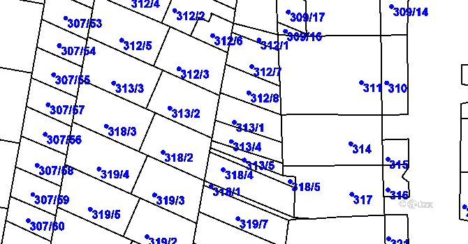 Parcela st. 313/1 v KÚ Mutěnice, Katastrální mapa