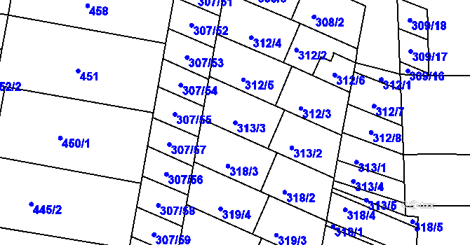 Parcela st. 313/3 v KÚ Mutěnice, Katastrální mapa