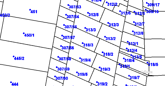 Parcela st. 318/3 v KÚ Mutěnice, Katastrální mapa