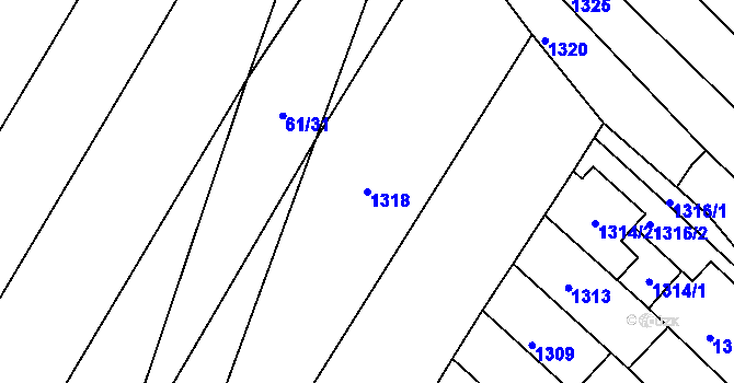 Parcela st. 1318 v KÚ Mutěnice, Katastrální mapa