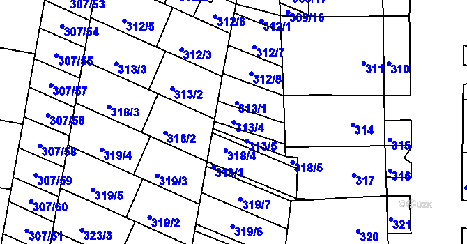 Parcela st. 313/4 v KÚ Mutěnice, Katastrální mapa