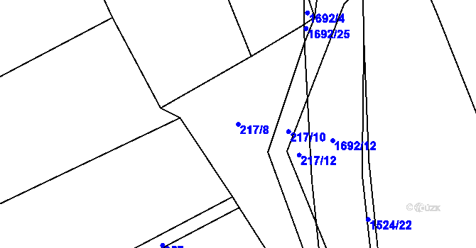 Parcela st. 217/8 v KÚ Mutěnín, Katastrální mapa