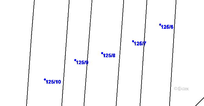 Parcela st. 125/8 v KÚ Holušice u Mužetic, Katastrální mapa