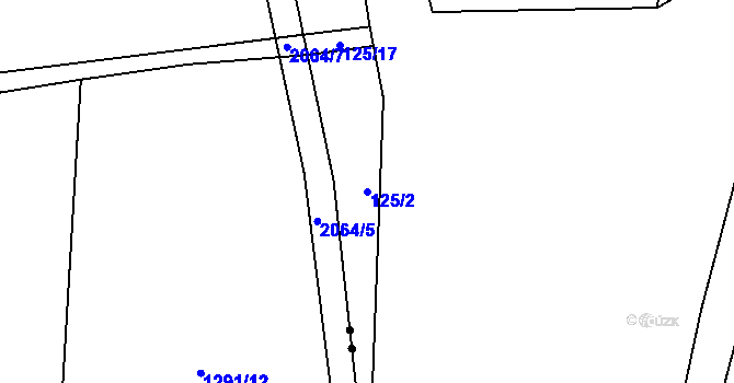 Parcela st. 125/2 v KÚ Holušice u Mužetic, Katastrální mapa