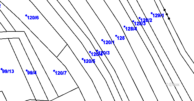 Parcela st. 120/3 v KÚ Křenůvky, Katastrální mapa
