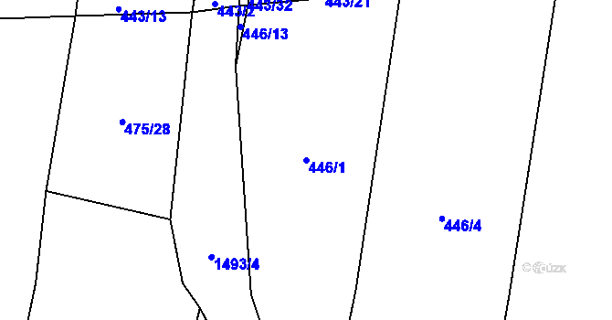 Parcela st. 446/1 v KÚ Selibov, Katastrální mapa