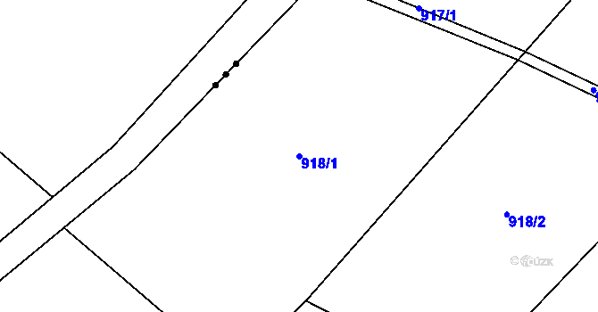 Parcela st. 918/1 v KÚ Selibov, Katastrální mapa