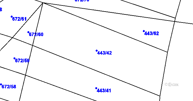 Parcela st. 443/42 v KÚ Selibov, Katastrální mapa