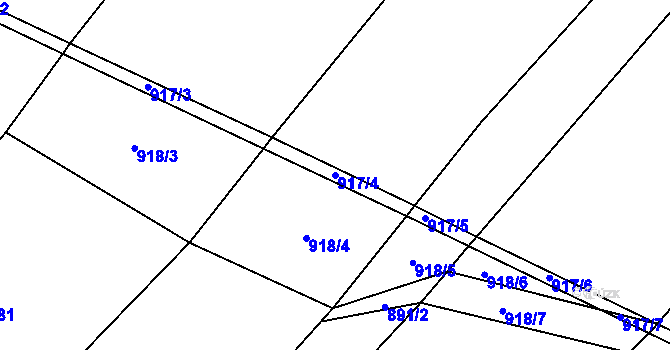Parcela st. 917/4 v KÚ Selibov, Katastrální mapa