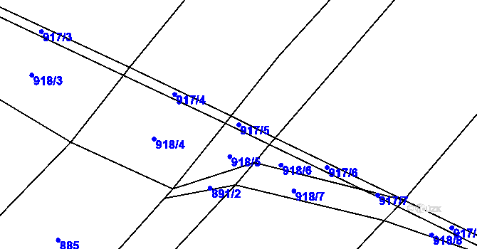 Parcela st. 917/5 v KÚ Selibov, Katastrální mapa