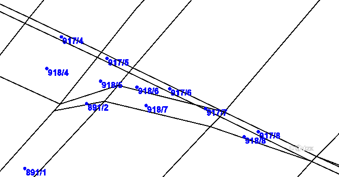 Parcela st. 917/6 v KÚ Selibov, Katastrální mapa