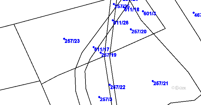 Parcela st. 257/19 v KÚ Medový Újezd, Katastrální mapa