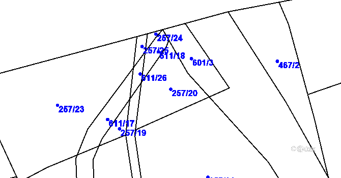 Parcela st. 257/20 v KÚ Medový Újezd, Katastrální mapa