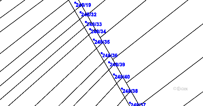Parcela st. 248/36 v KÚ Mžany, Katastrální mapa