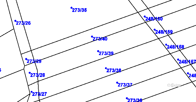 Parcela st. 273/39 v KÚ Mžany, Katastrální mapa