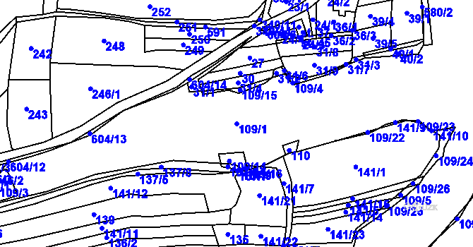 Parcela st. 109/1 v KÚ Kostelec u Nadryb, Katastrální mapa