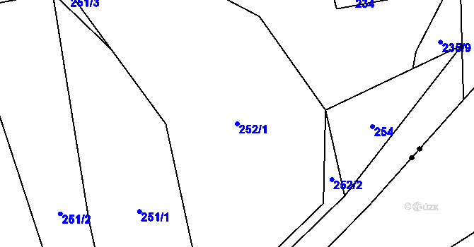 Parcela st. 252/1 v KÚ Náchod u Tábora, Katastrální mapa