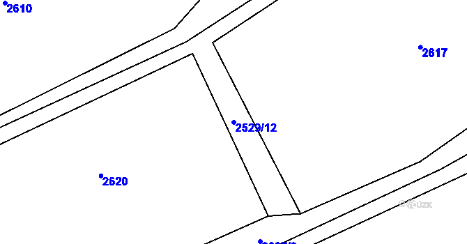 Parcela st. 2529/12 v KÚ Nakvasovice, Katastrální mapa