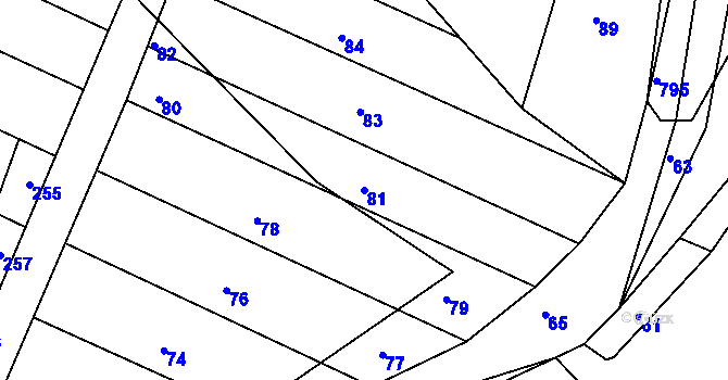 Parcela st. 81 v KÚ Nalžovice, Katastrální mapa