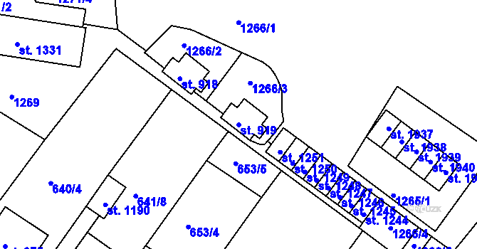 Parcela st. 919 v KÚ Náměšť nad Oslavou, Katastrální mapa