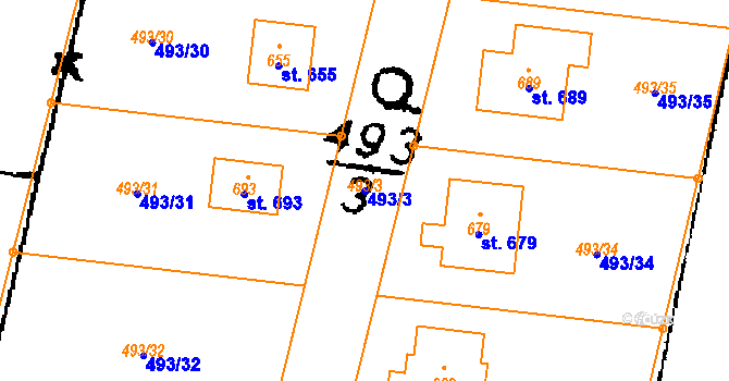 Parcela st. 493/3 v KÚ Nasavrky, Katastrální mapa