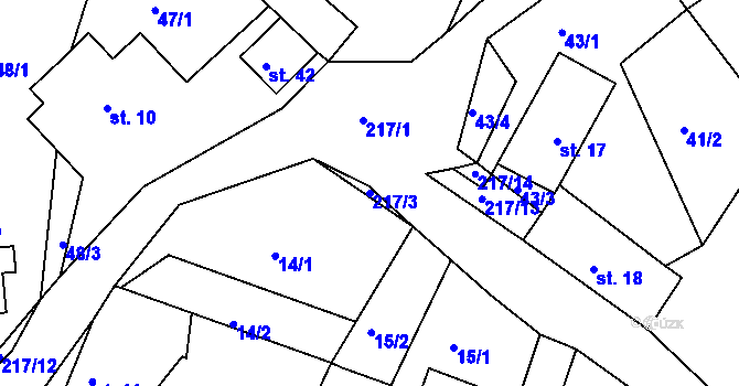 Parcela st. 217/3 v KÚ Nasavrky u Chocně, Katastrální mapa