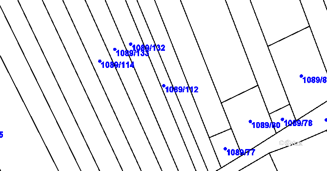 Parcela st. 1089/112 v KÚ Násedlovice, Katastrální mapa