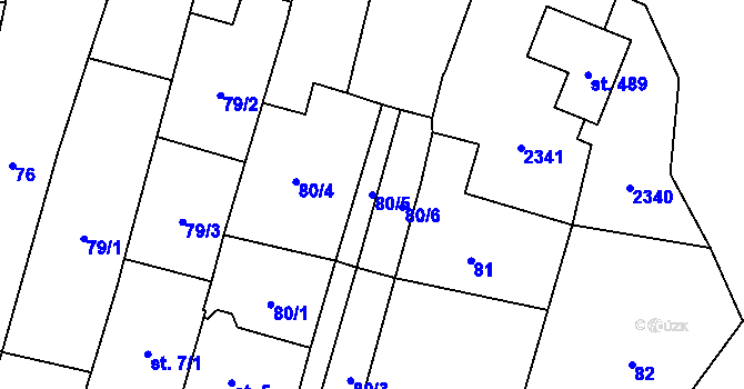 Parcela st. 80/5 v KÚ Násedlovice, Katastrální mapa