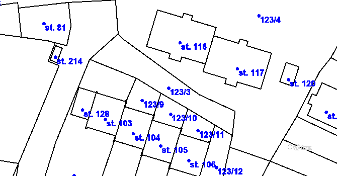 Parcela st. 123/3 v KÚ Žernovice, Katastrální mapa
