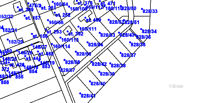 Parcela st. 828 v KÚ Nebovidy, Katastrální mapa