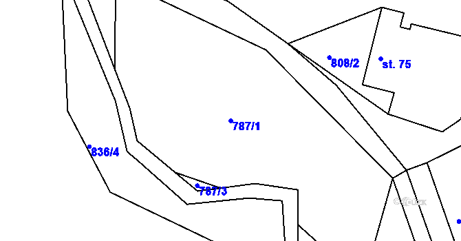 Parcela st. 787/1 v KÚ Lhota u Nečemic, Katastrální mapa