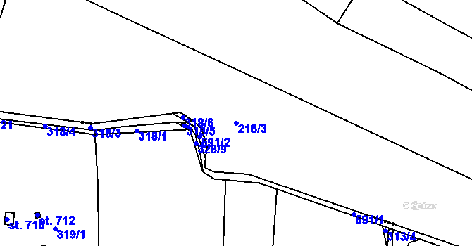 Parcela st. 216/3 v KÚ Nečichy, Katastrální mapa