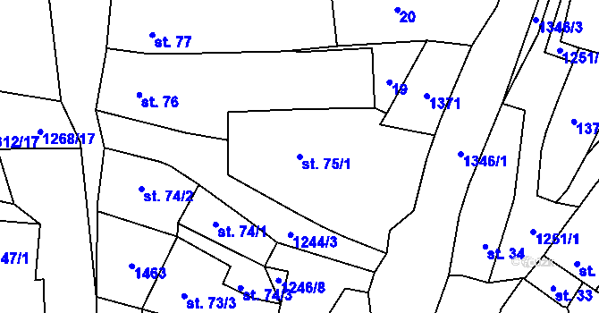 Parcela st. 75/1 v KÚ Nečtiny, Katastrální mapa