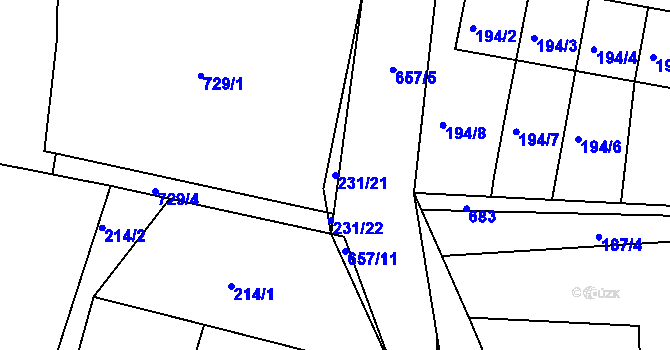 Parcela st. 231/21 v KÚ Nedabyle, Katastrální mapa