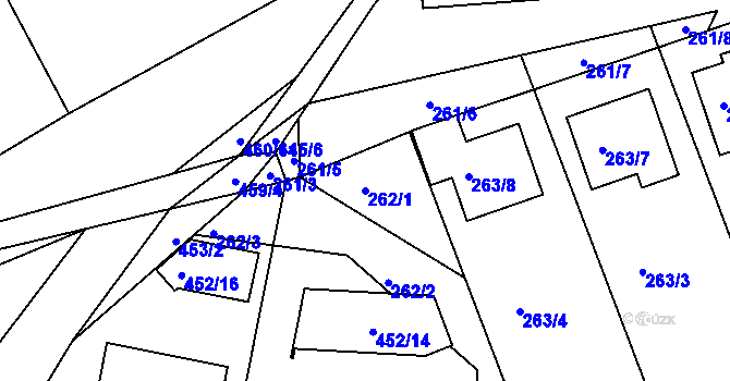 Parcela st. 262/1 v KÚ Nedabyle, Katastrální mapa